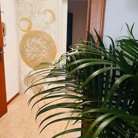 Apartment Modenasud